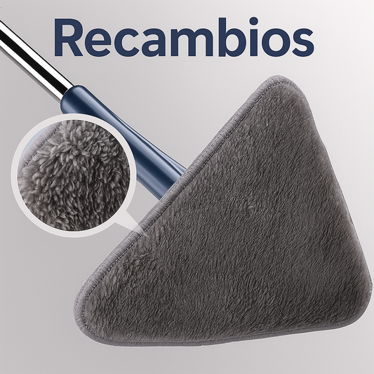 PAX DE 10 RECAMBIO360